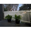 White BATTEN Balcony Railings- 40x40mm - 3 Colours -Custom Sizes SQM Rate White Custom cuts