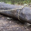 Drag Recovery Chain 8mm x 9m Long G80 + G70 Grab hooks DELIVERED